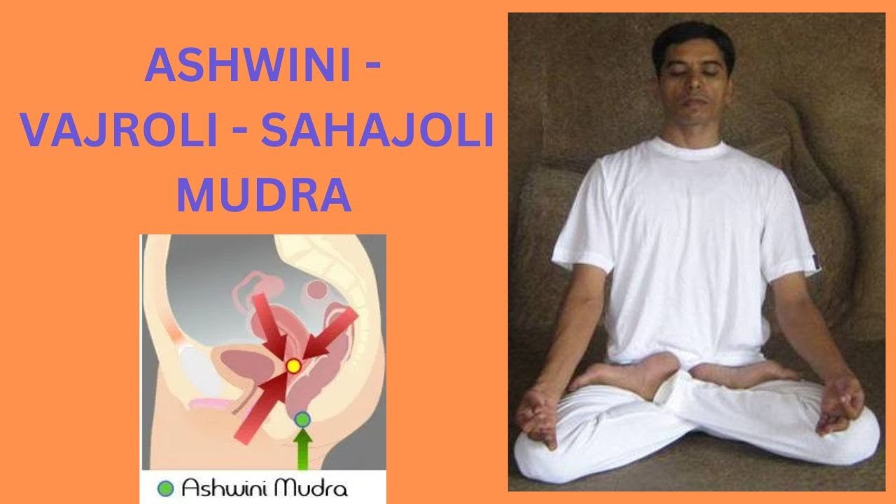 ASHWINI, VAJROLI/SAHAJOLI MUDRA