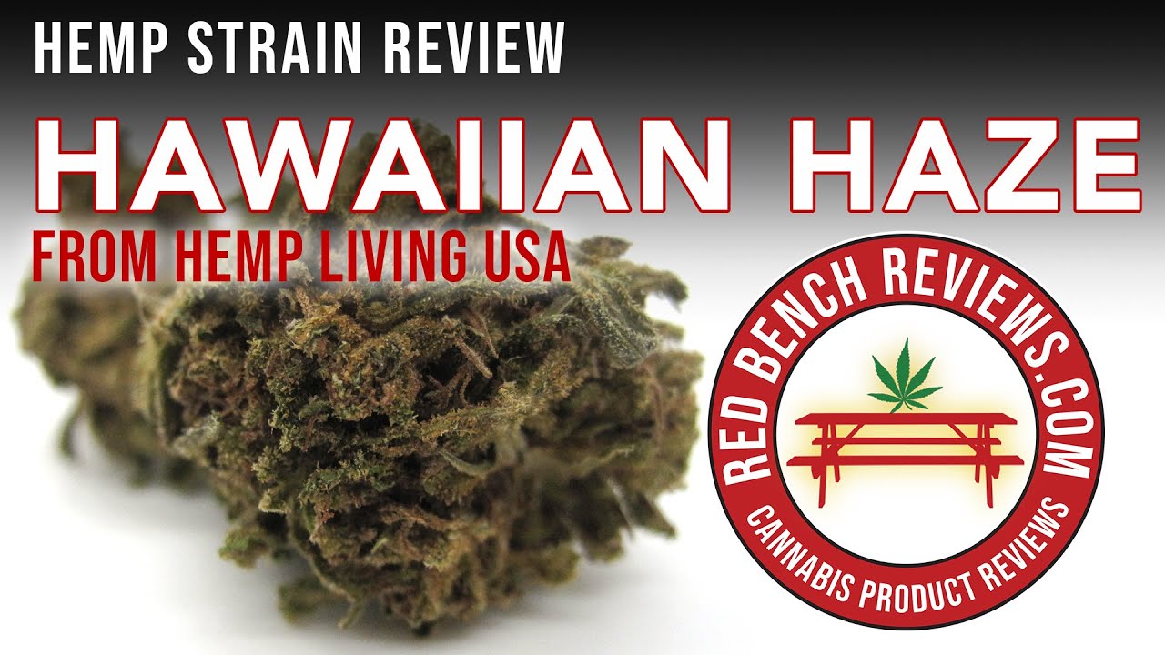 Hemp Living USA | Hawaiian Haze Strain Review | 17% CBD!