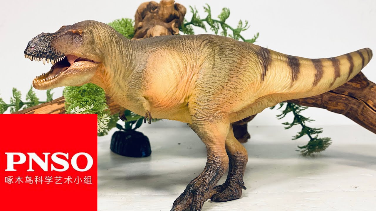 PNSO Zhuchengtyrannus “Lu Xiong” Review!! #58 Prehistoric Animal Models