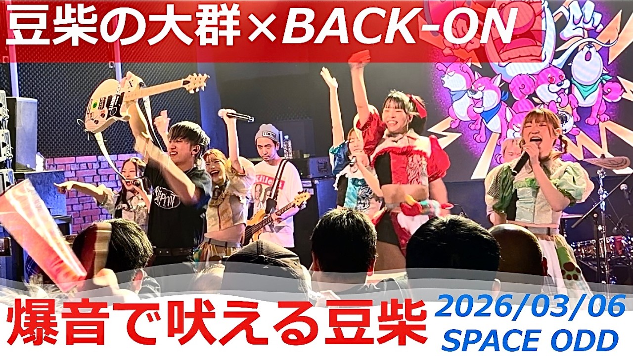 2026/03/06【豆柴の大群×BACK-ON】豆柴初の生バンドライブ『爆音で吠える豆柴』（バンドセットは58分57秒〜）
