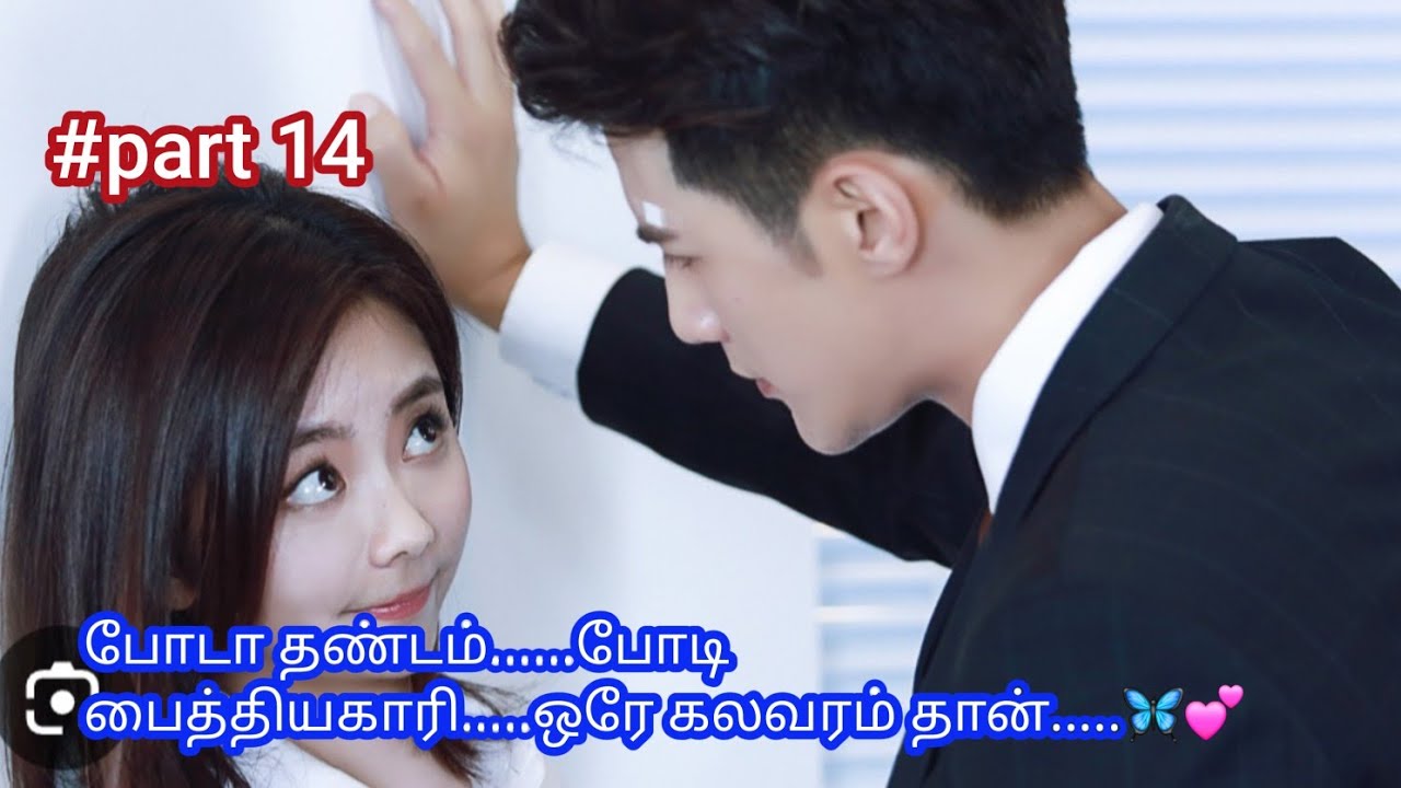 The fox summer ☀️ part 14 tamil explanation 
