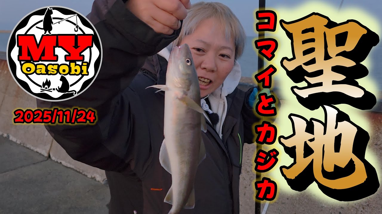 【釣り】2025年  聖地  コマイとカジカ狙いです　#北海道釣り #コマイ #聖地釣り   #カジカ  #投げ釣り  #カレイ