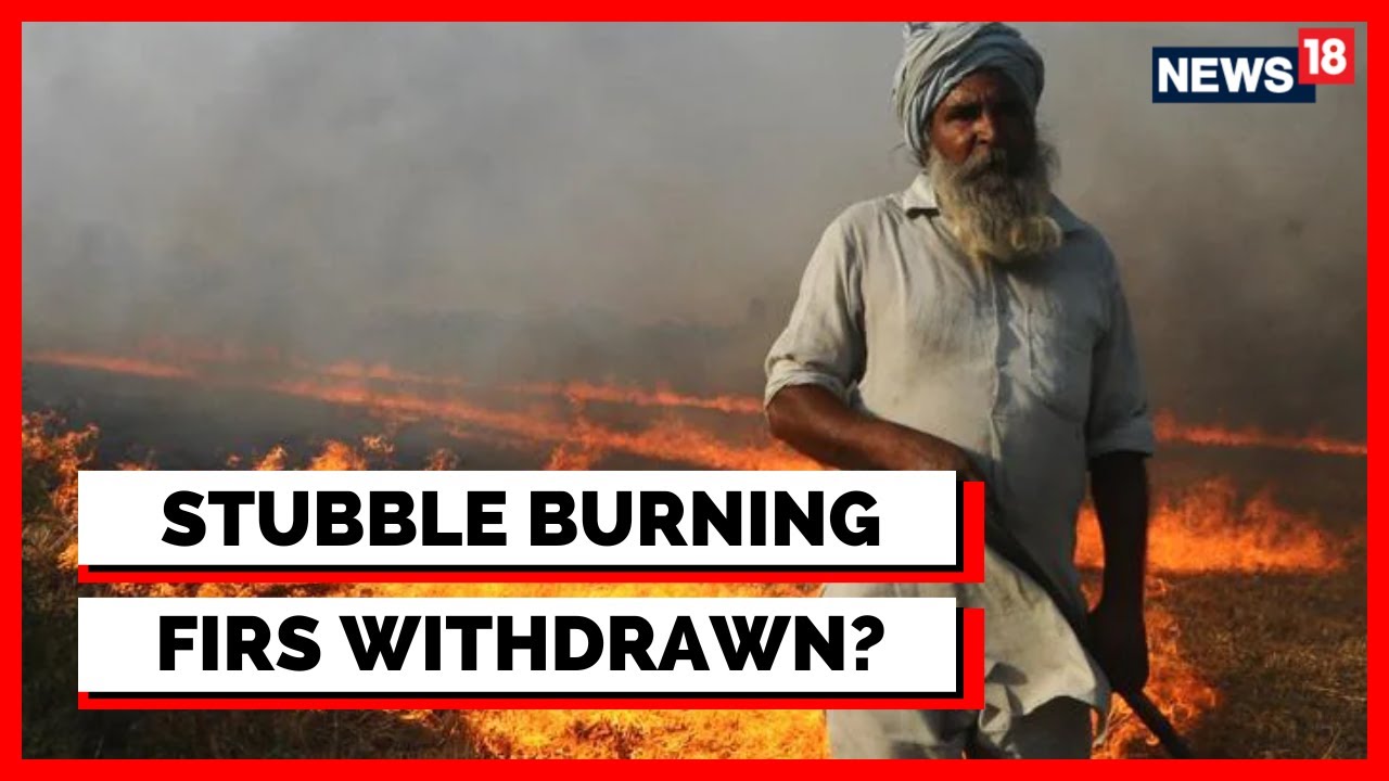 Delhi Pollution | Stubble Burning | Punjab Withdraws FIRs Against Farmers | English News | News18