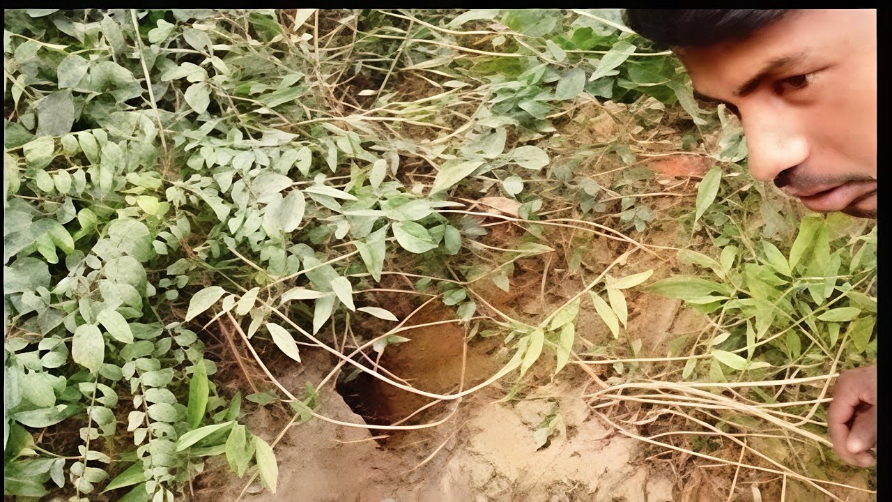 24 घंटे जंगल में सर्वाइव 😱 | धोखा, प्यास और खाने की तलाश | Jungle Survival Challenge
