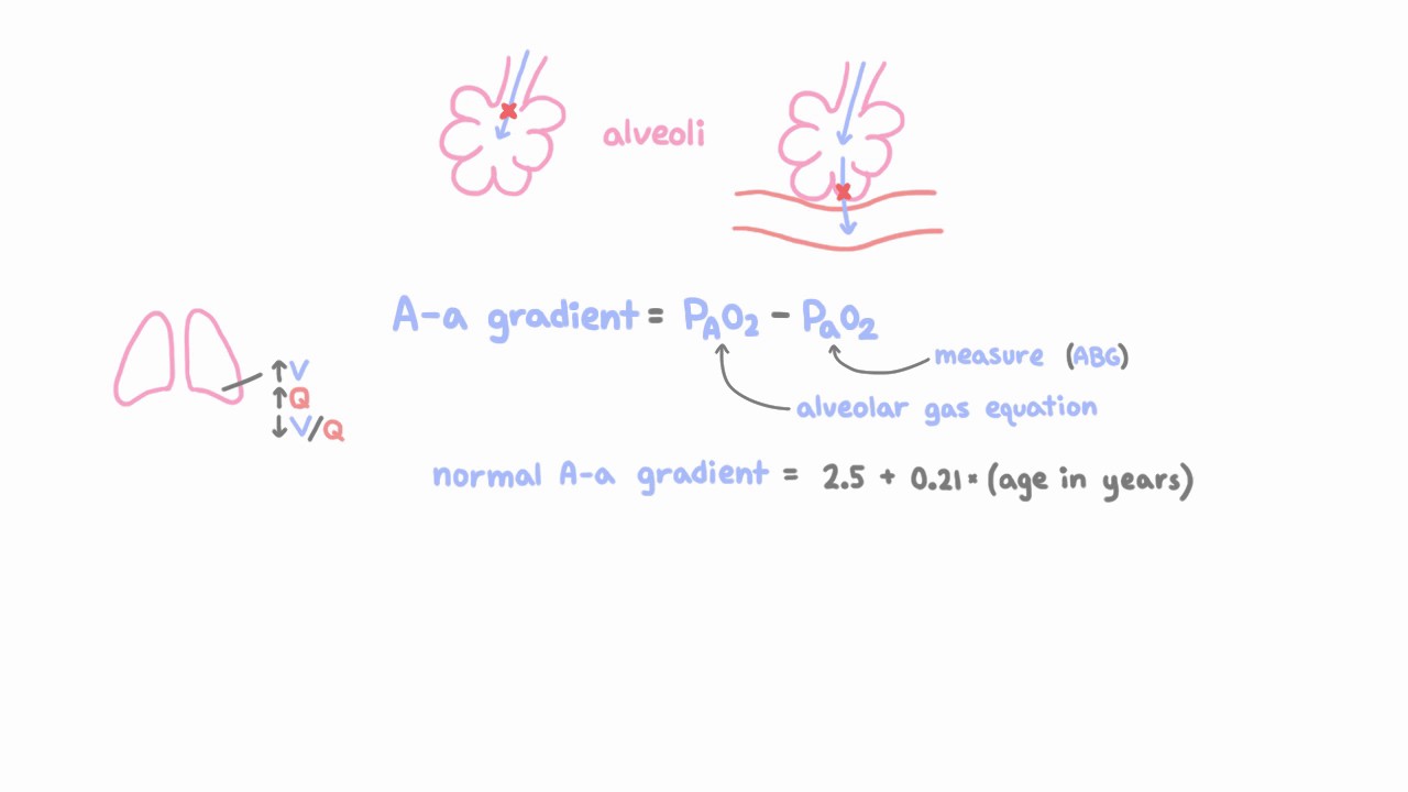 A-a gradients