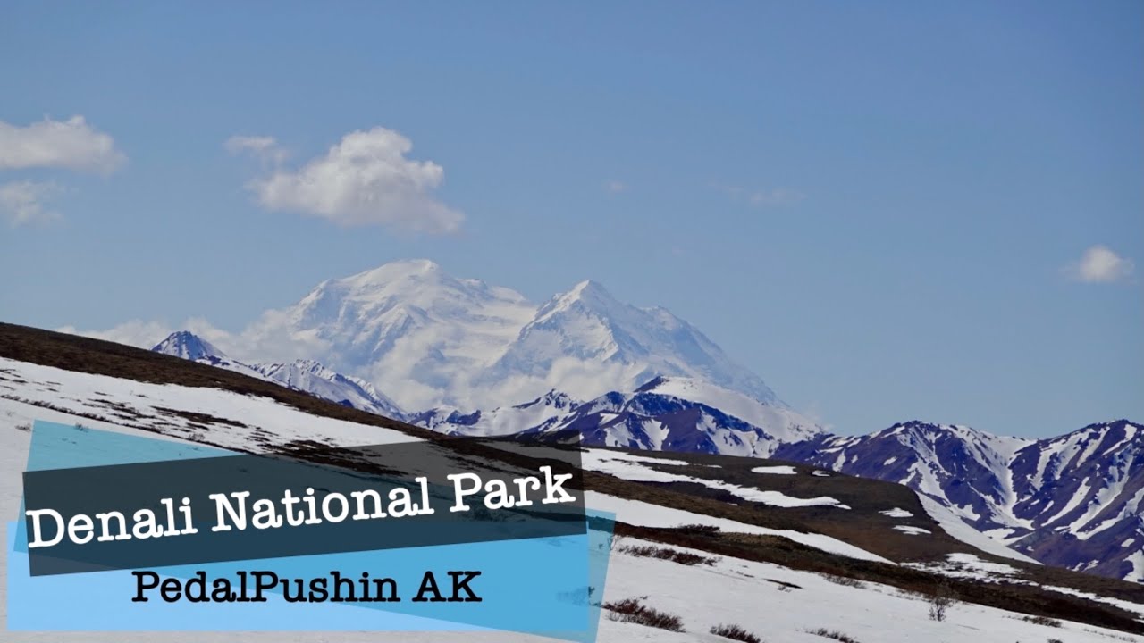 Denali National Park | ICE Adventure