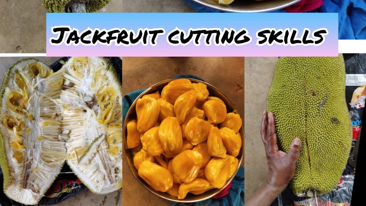 Tips and Cutting skills of Jackfruit ||Fresh kathal cutting |How to cut jackfruit #taratalks #fruits