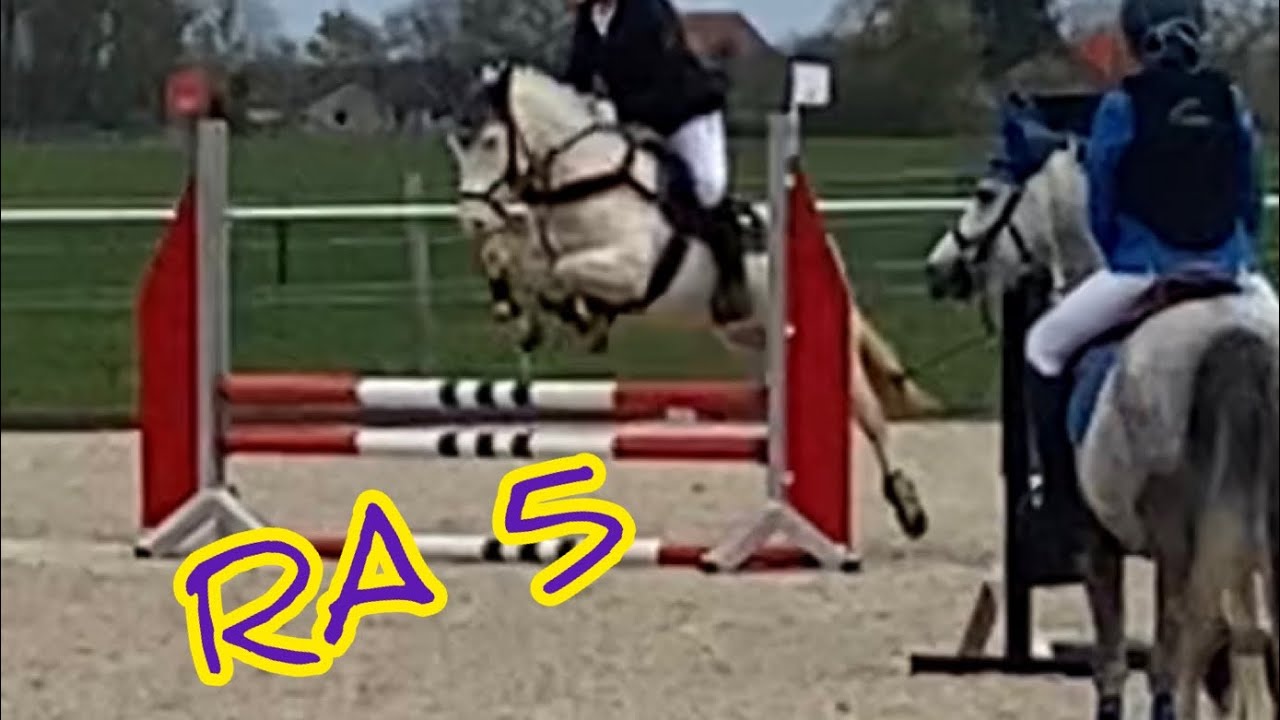 Reitabzeichen 5 , Springen , RA 5