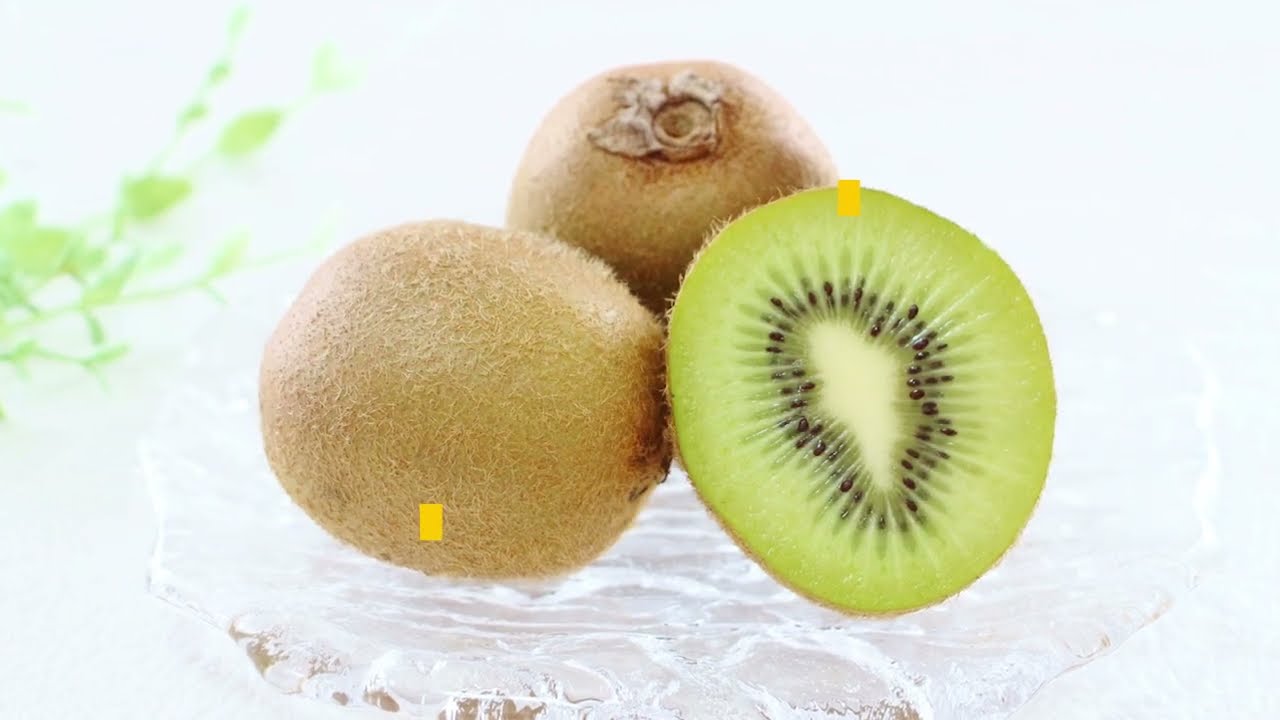 キウイフルーツの冬季剪定講座