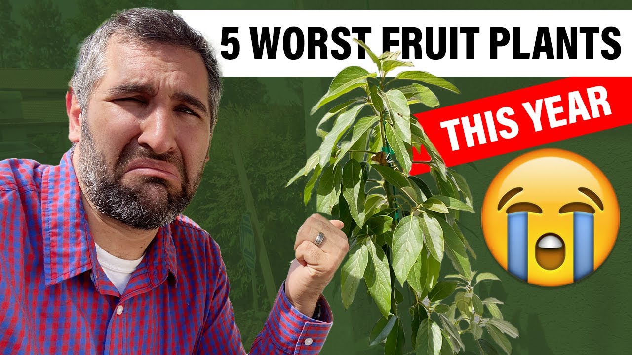 THE 5 WORST FRUIT TREE FAILS IN MY ORCHARD 2021 😭 (GARDENING FAILS)