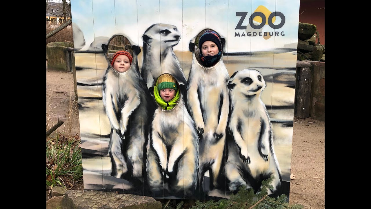 Petja, Danja & Albert im Zoo Magdeburg 01.2024