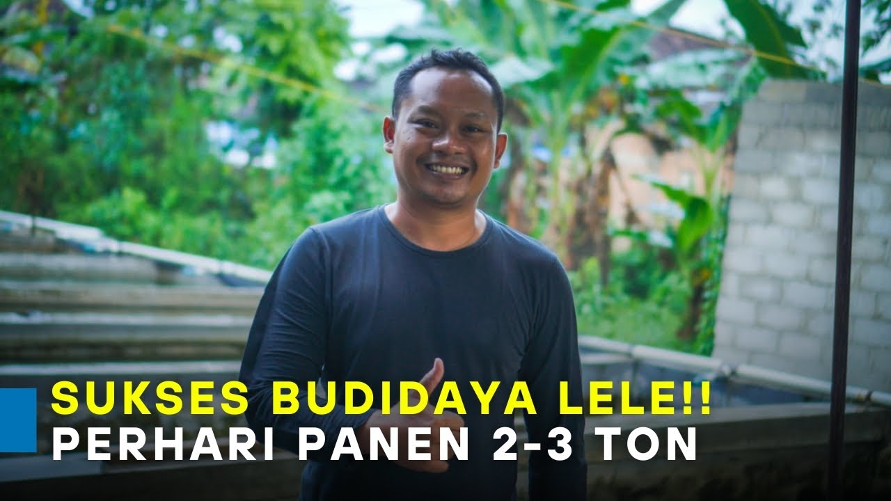 Terapkan SOP Budidaya LELE sistem modern, perhari panen lele 2-3 Ton!!