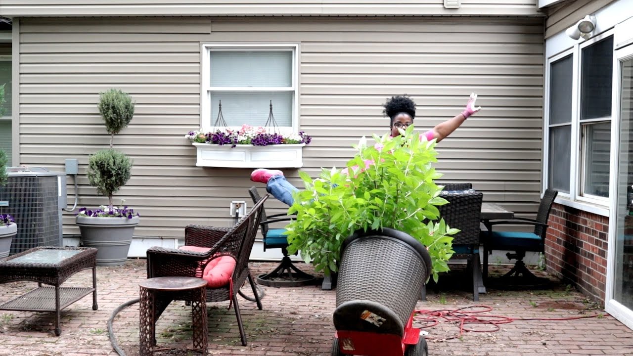 I GOT A TON OF WORK DONE IN MY GARDEN // EDEN ROSE UPDATE// GARDEN VLOG