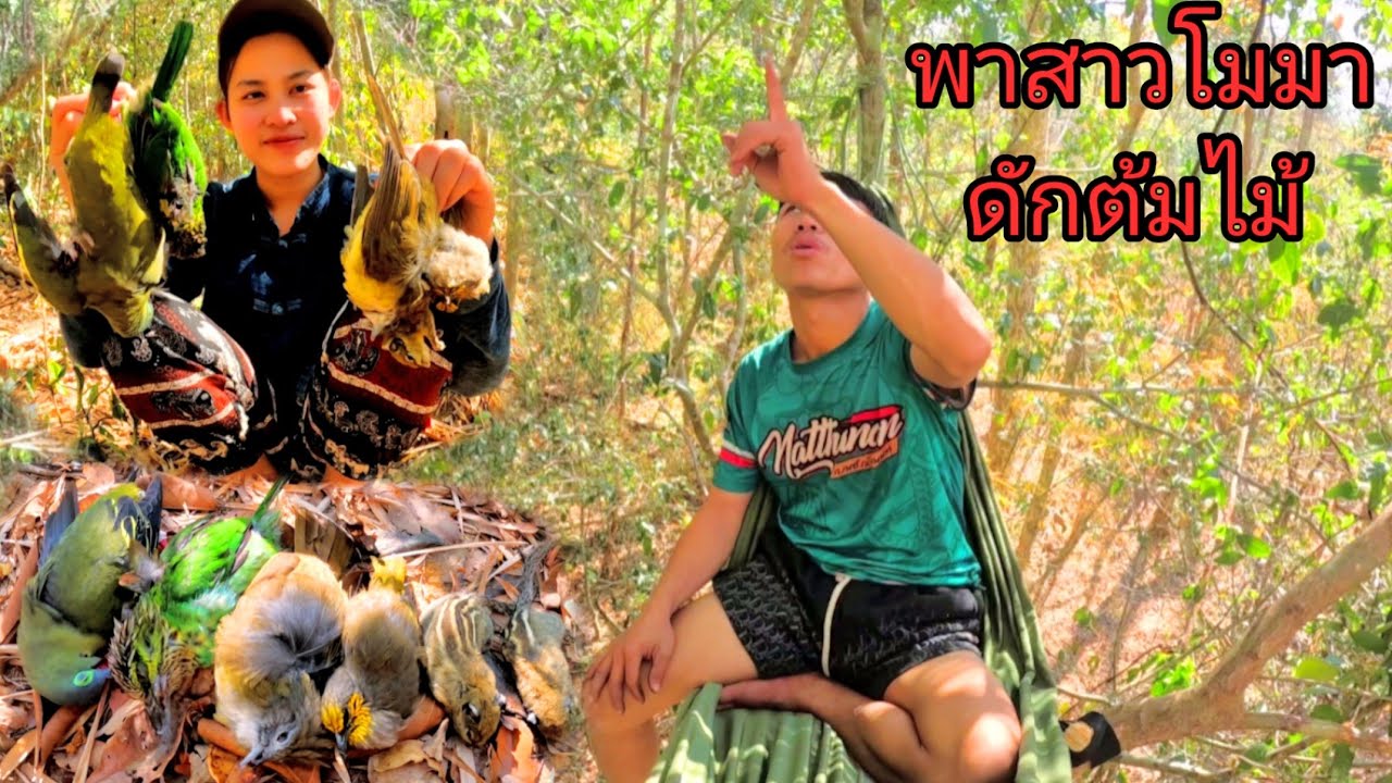 เข้าป่ากับสาวโมไปนั่งห้างยิงนก/ເຂົາປ່າກັບສາວໂມໄປນັ່ງຫ້າງ