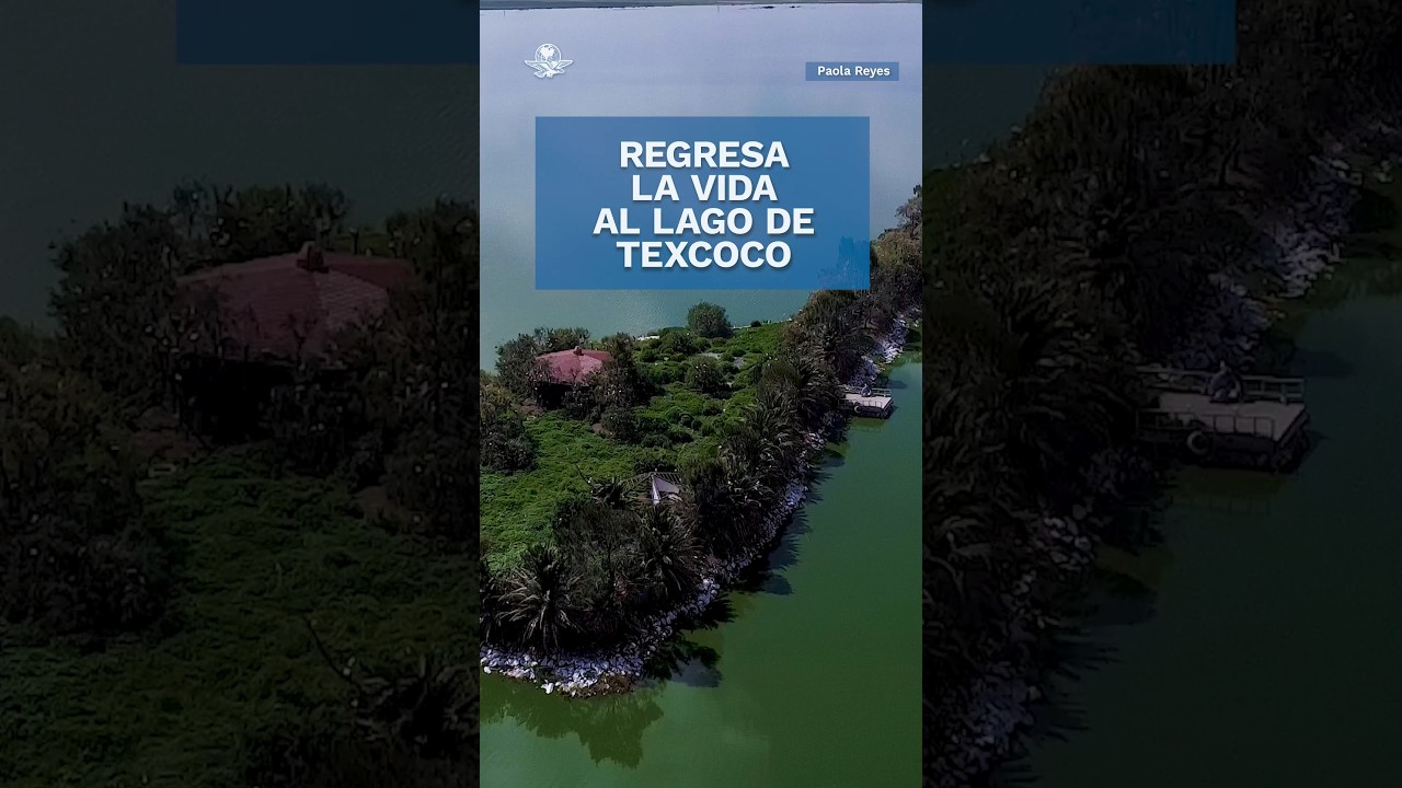 As&iacute; luce en estos d&iacute;as el Lago de Texcoco