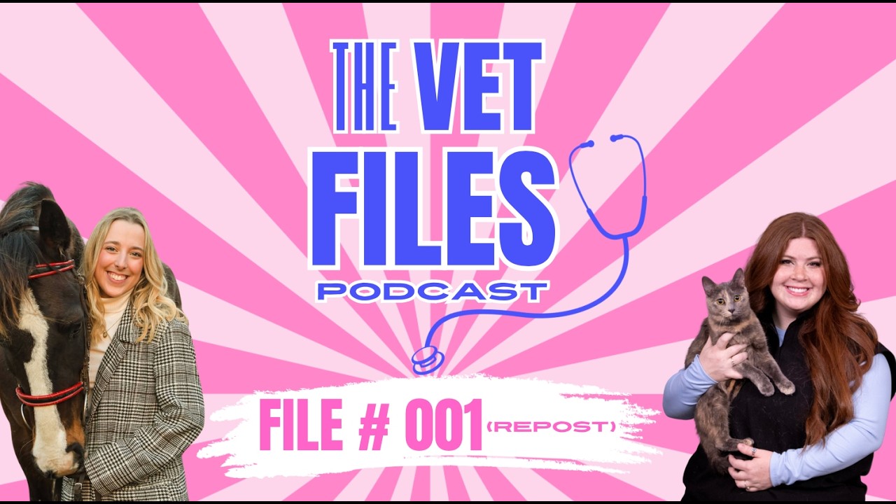 File #001: Pre-Vet to Vet Student