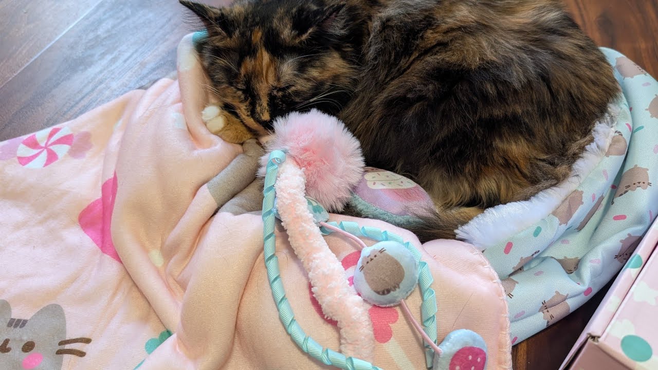 8 Cats Review Winter Pusheen Box