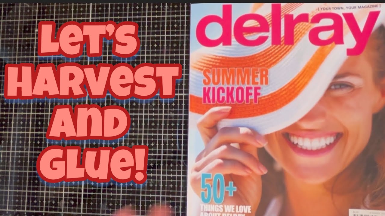 ✂️📕 Let’s Harvest this Magazine and then Glue in my Color Glue Book!
