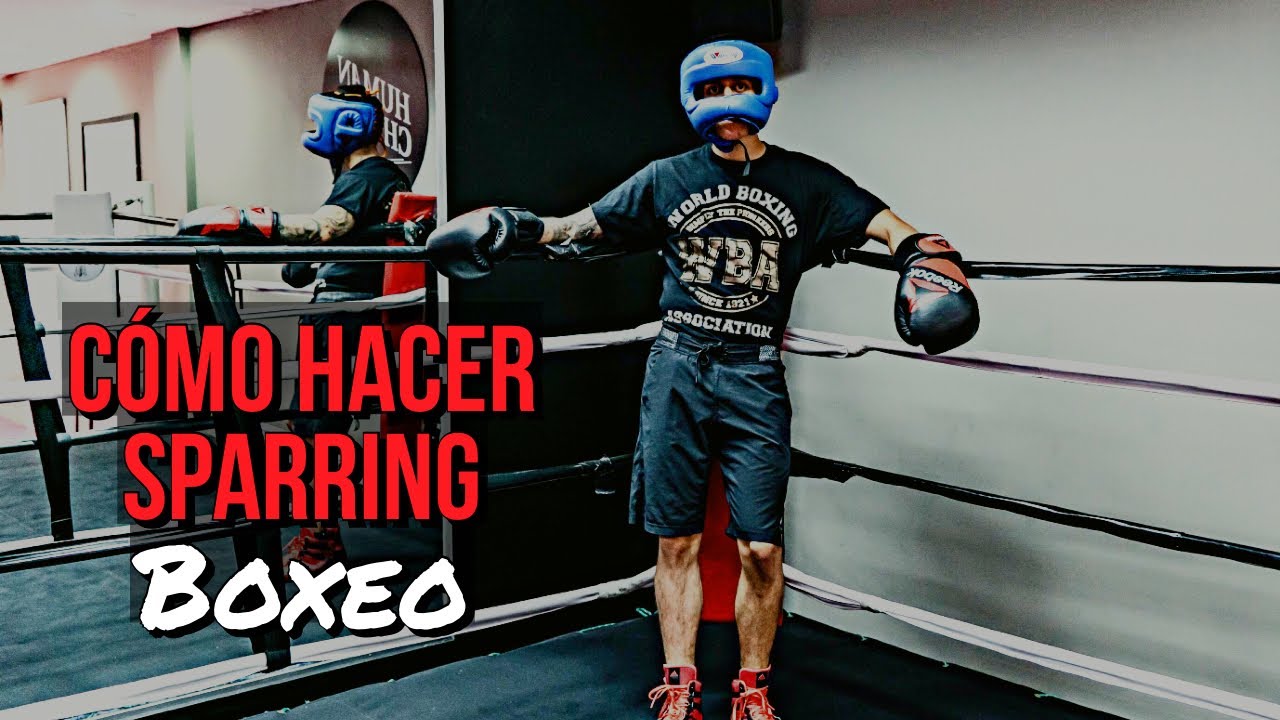 Cómo hacer SPARRING en BOXEO