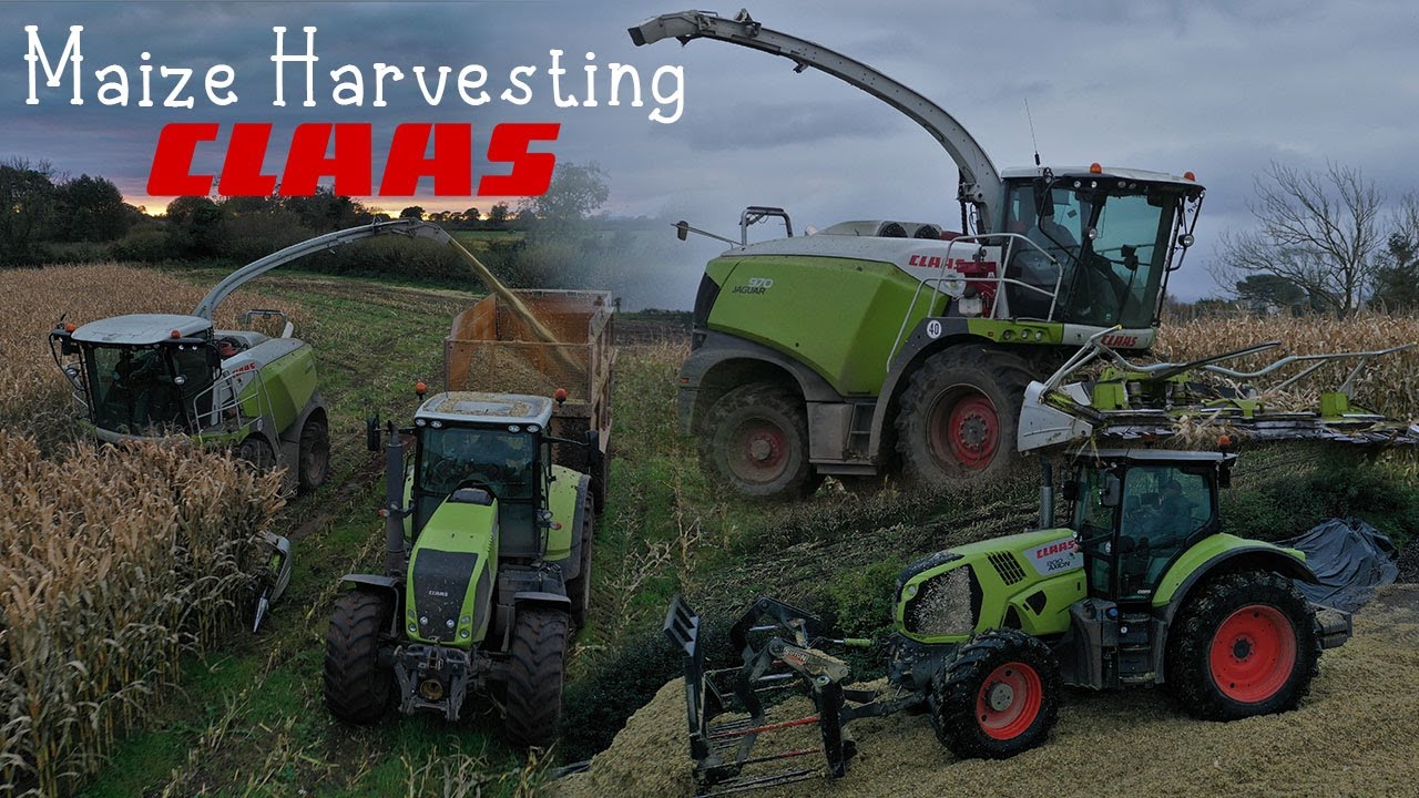 Maize 2020 Into The Night - Steel's Farm - Littles Contracting