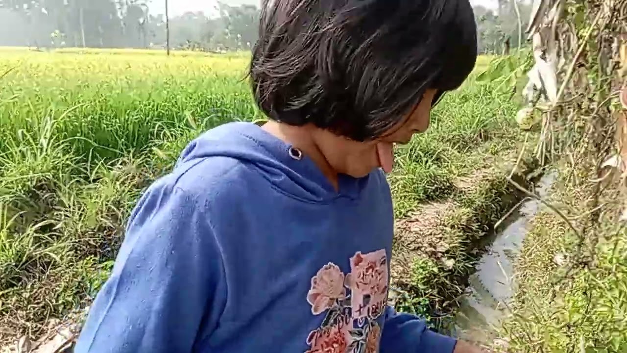শীতের সময় সবুজে সবুজে ভরা মাঠ আজ আমরা মাঠে গেছিলাম ঘুরতে এরকম মাঠের পরিবেশ তোমাদের কেমন লাগে জানাবে