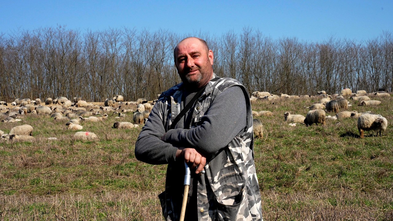 OVI  ŠTO PROSE PO INTERNETU NEK DOĐU KOD ZAJKE 3 DANA ČUVAT SVE ĆU IM KUPIT