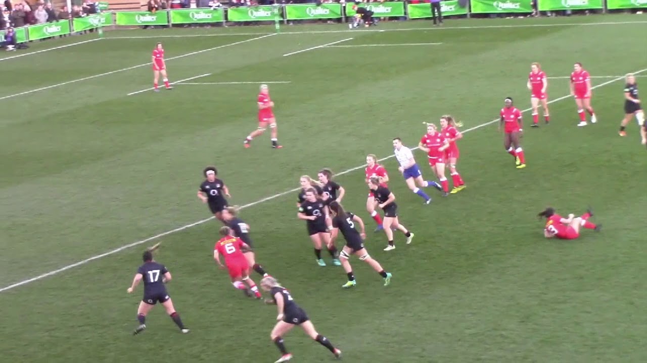 Taylor Black Highlights Reel