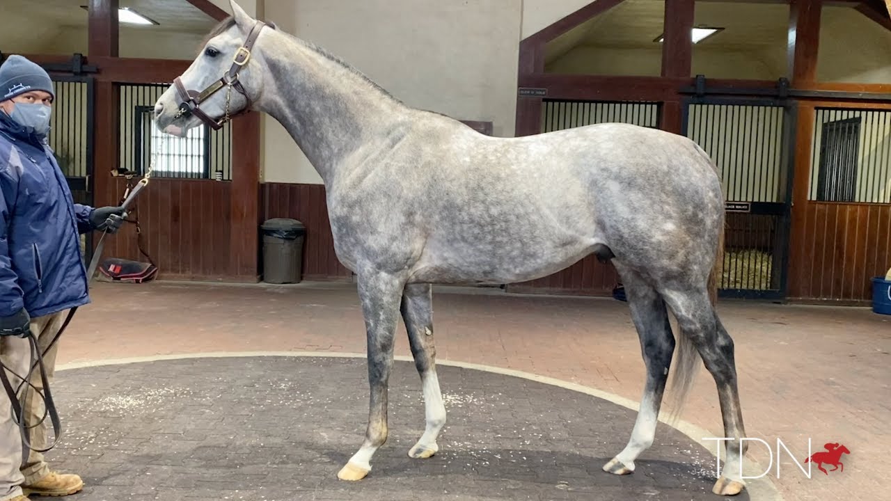 Volatile Settling in at Three Chimneys