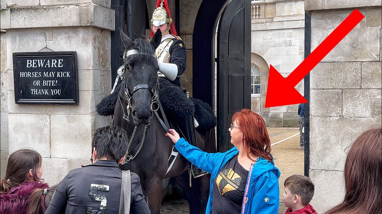 Tourists Pulls the Horse Reins and Laughs