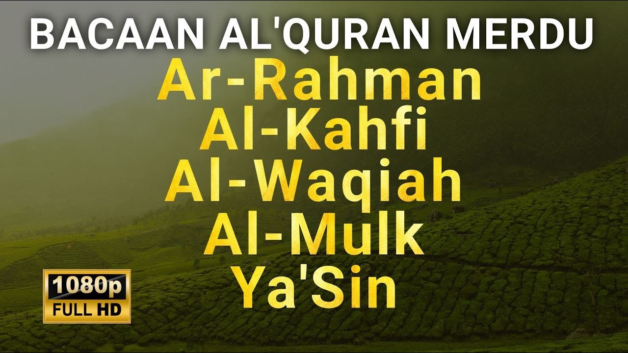 Murottal AlQuran Merdu | Surat Al Waqiah, Al Kahfi, Ar Rahman,Yasin, Al Mulk Buat Hati Lebih tenang