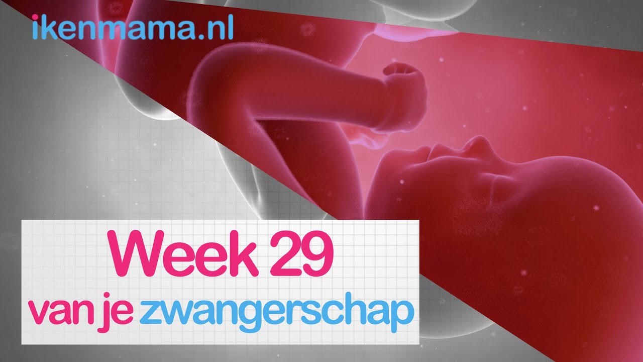 29 weken zwanger | ikenmama.nl