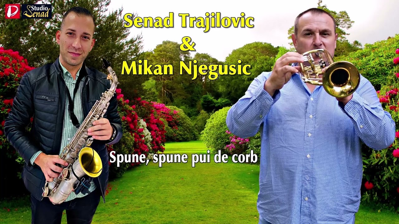 Senad Trajilovic & Mikan Njegusic || Spune, spune pui de corb