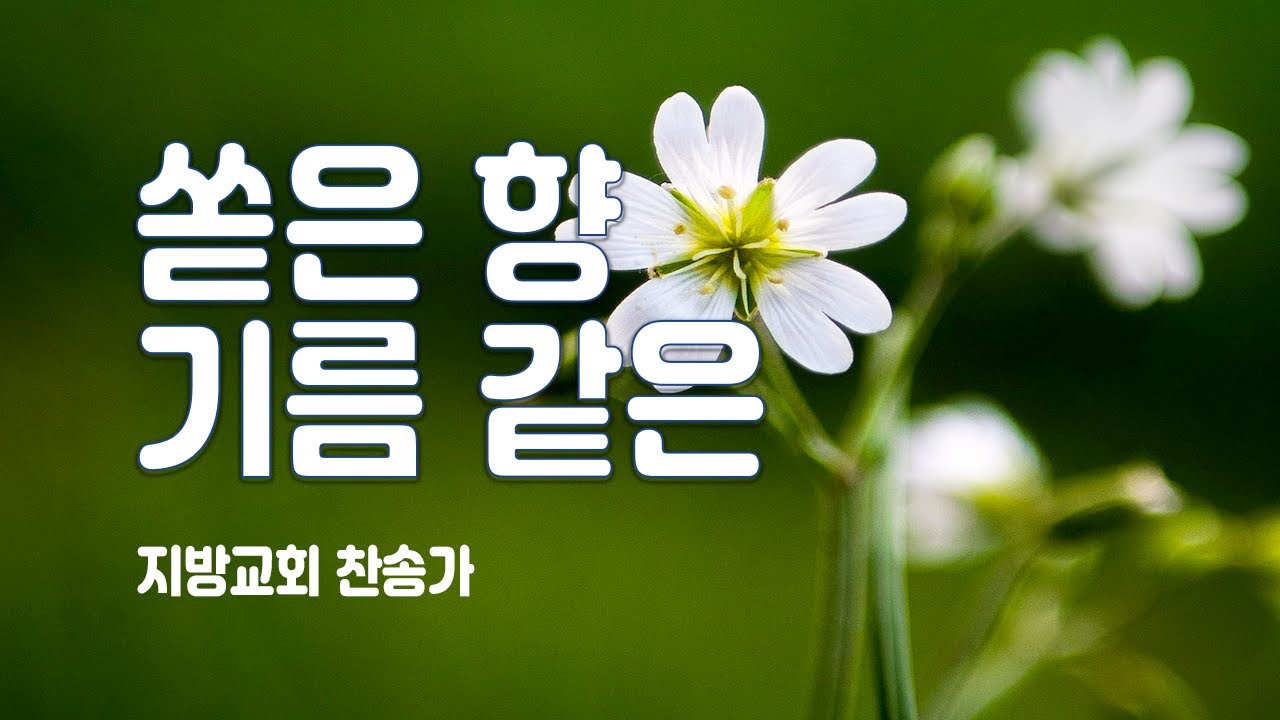 지방교회 찬송가 98회 - 쏟은 향 기름 같은