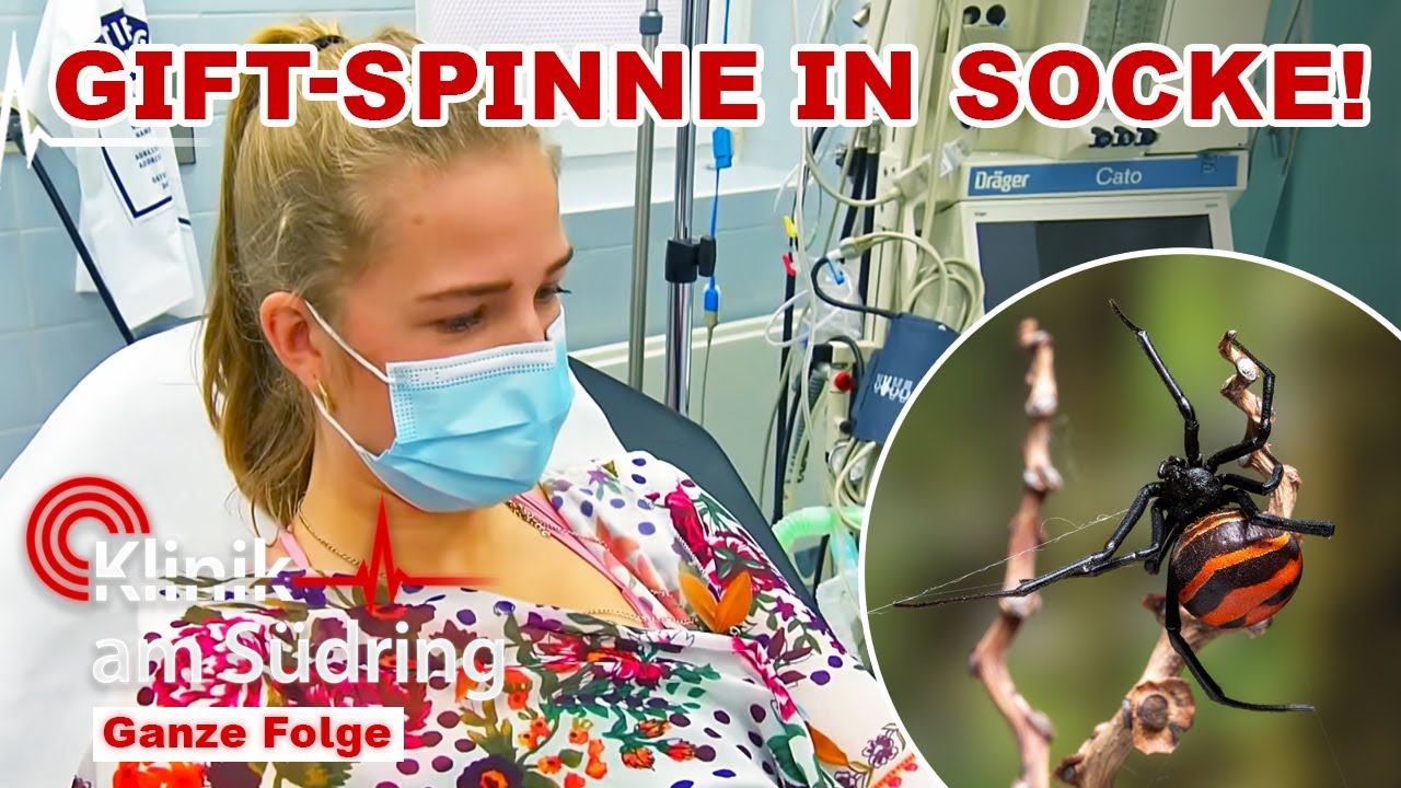 Giftiger Biss! - Warum hat sie eine SCHWARZE WITWE in der Socke? | Klinik am Südring | SAT.1