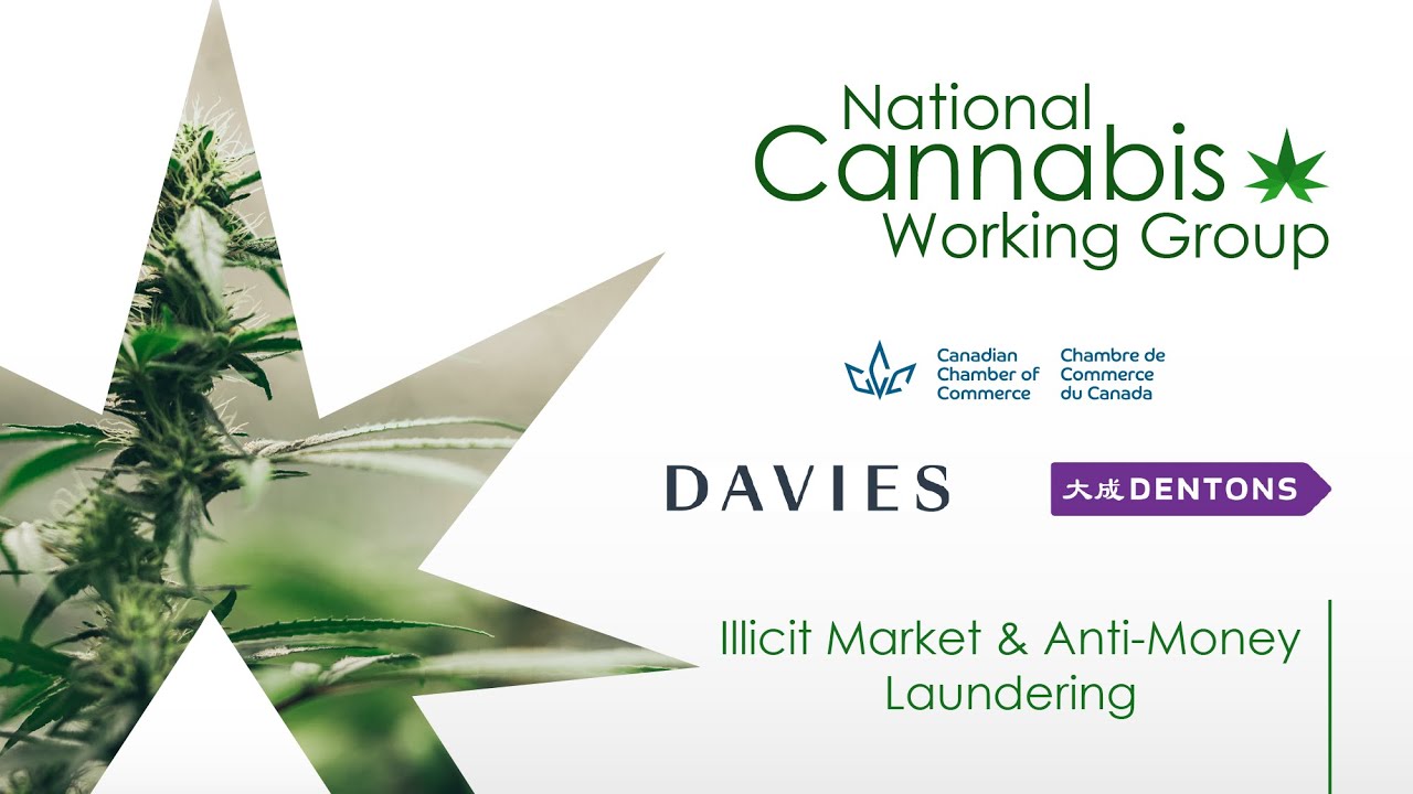 Cannabis Act Review: Illicit Market & Anti-Money Laundering