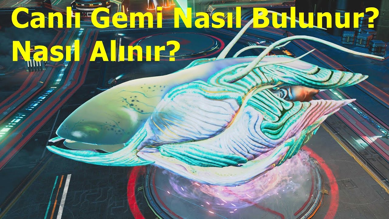 No Man's Sky-Canlı Gemi Nasıl Bulunur-Nasıl Alınır