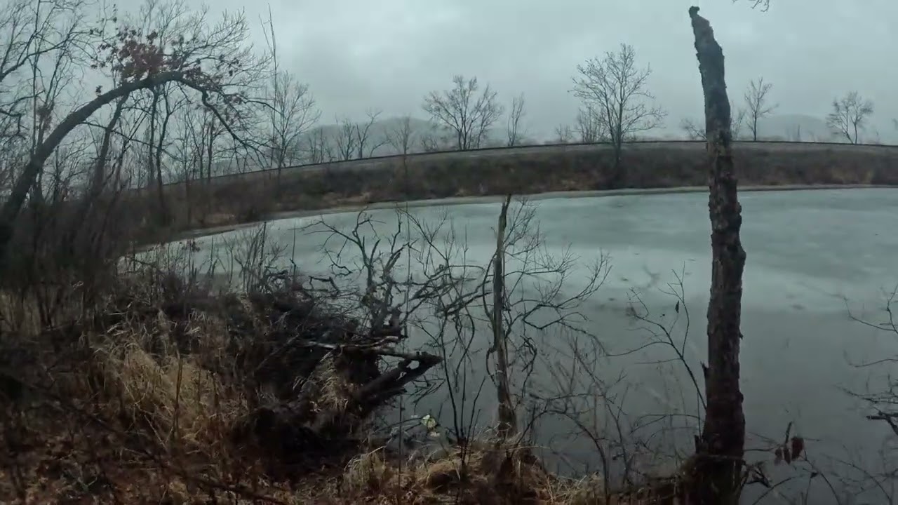 Perrot State Park 3/7/26 (part2)