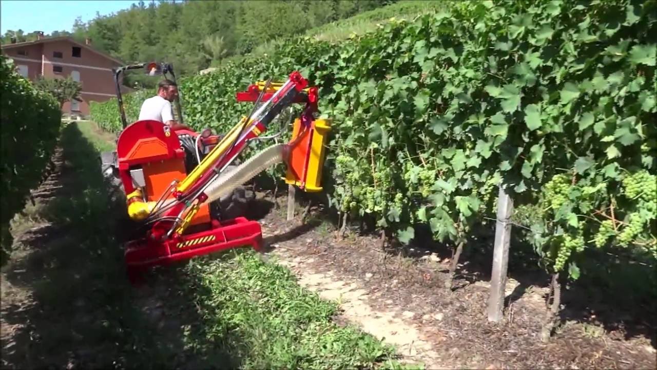 Defogliatrice per vigneti modello EUCLIDE