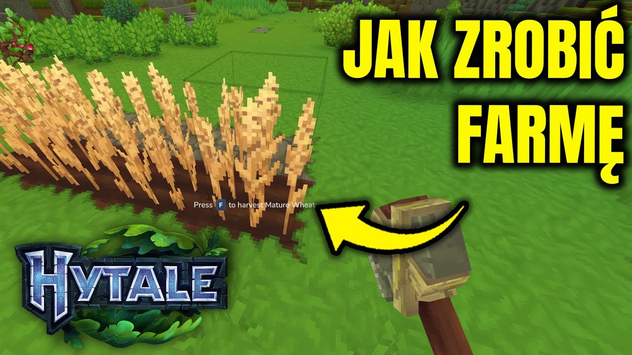 Hytale - Jak zrobić farmę