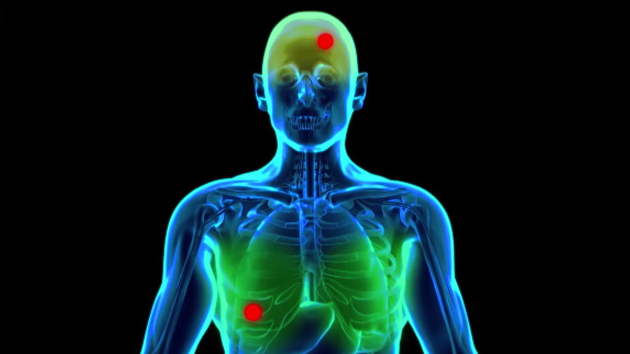 What is Chemotherapy? | Earth Science
