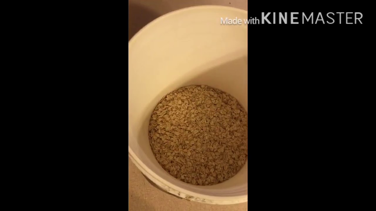 A New Oats Pack Bait Recipe