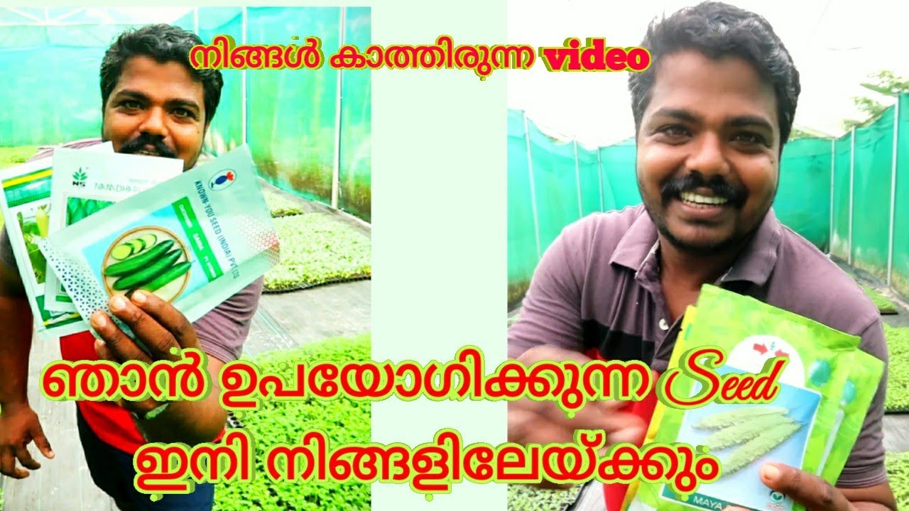 ഞാൻ ഉപയോഗിക്കുന്ന Seed ഇനി നിങ്ങളിലേയ്ക്കും