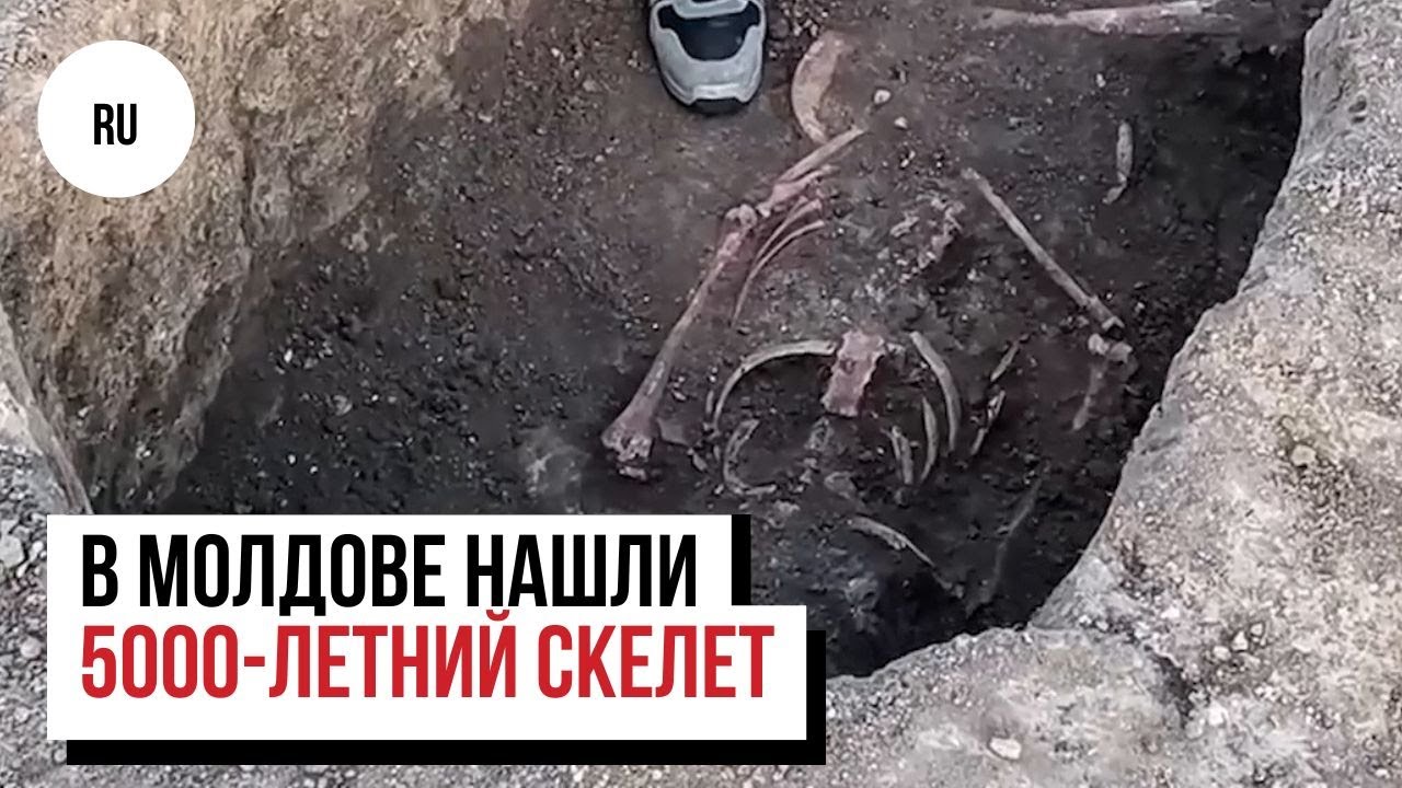 На севере Молдовы обнаружили скелет, возраст которого около 5 тыс. лет