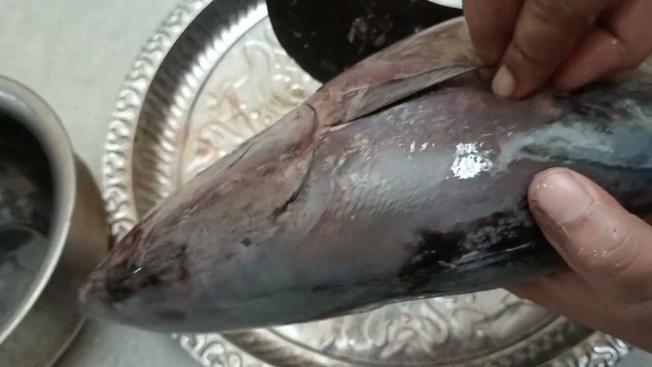 টুনা মাছ কাটা ও পরিষ্কার করার সবচেয়ে সহজ পদ্ধতি /tuna fish cutting and cleaning 🦈🐠