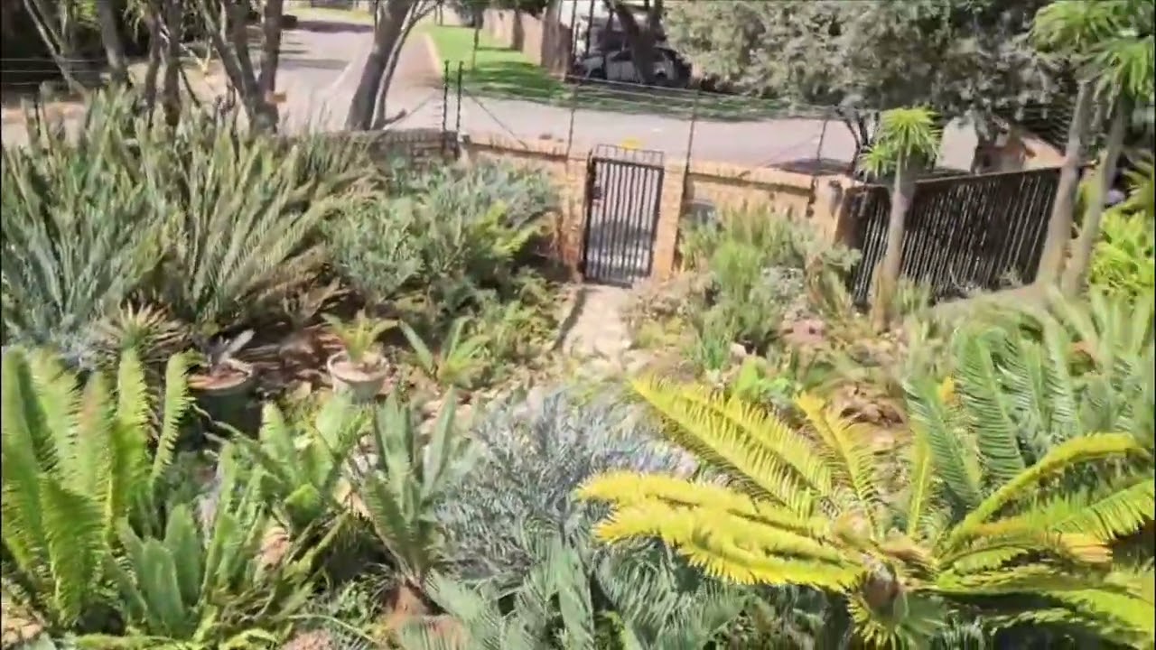 Cycad Garden Tour 30 December 2025