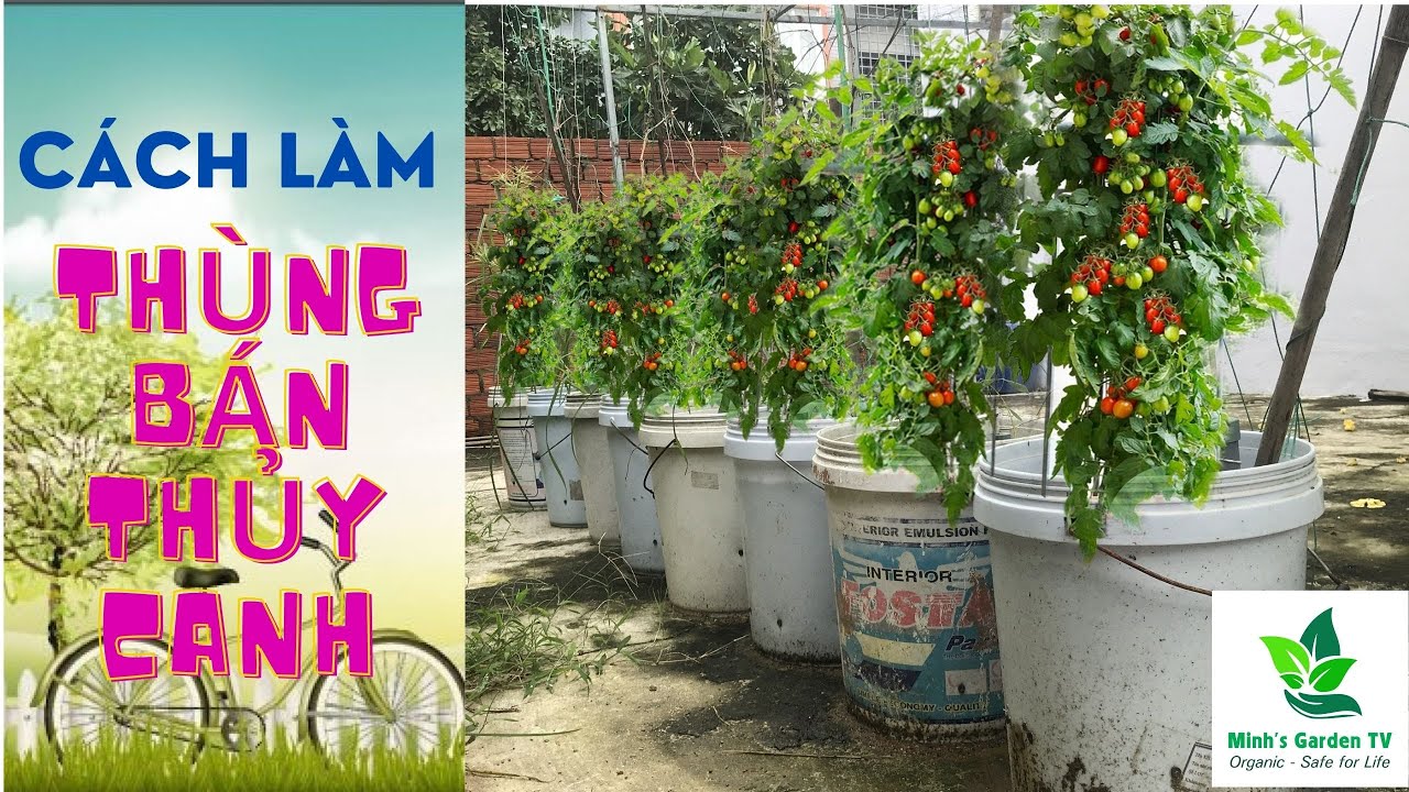 Cách làm Thùng trồng cây Bán Thủy Canh | Earthbox | Thùng trồng cây thông minh | Minh's Garden TV