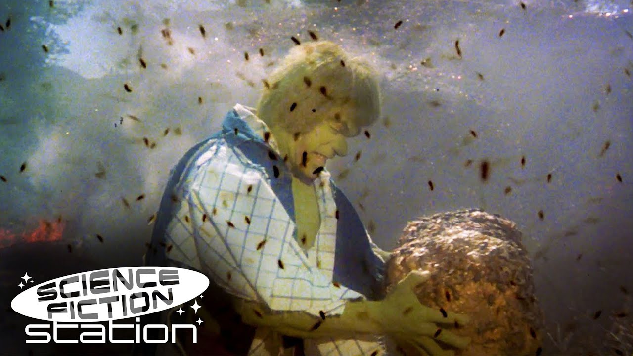 Hulk Fights A Swarm Of Bees! | The Incredible Hulk | Science Fiction Station