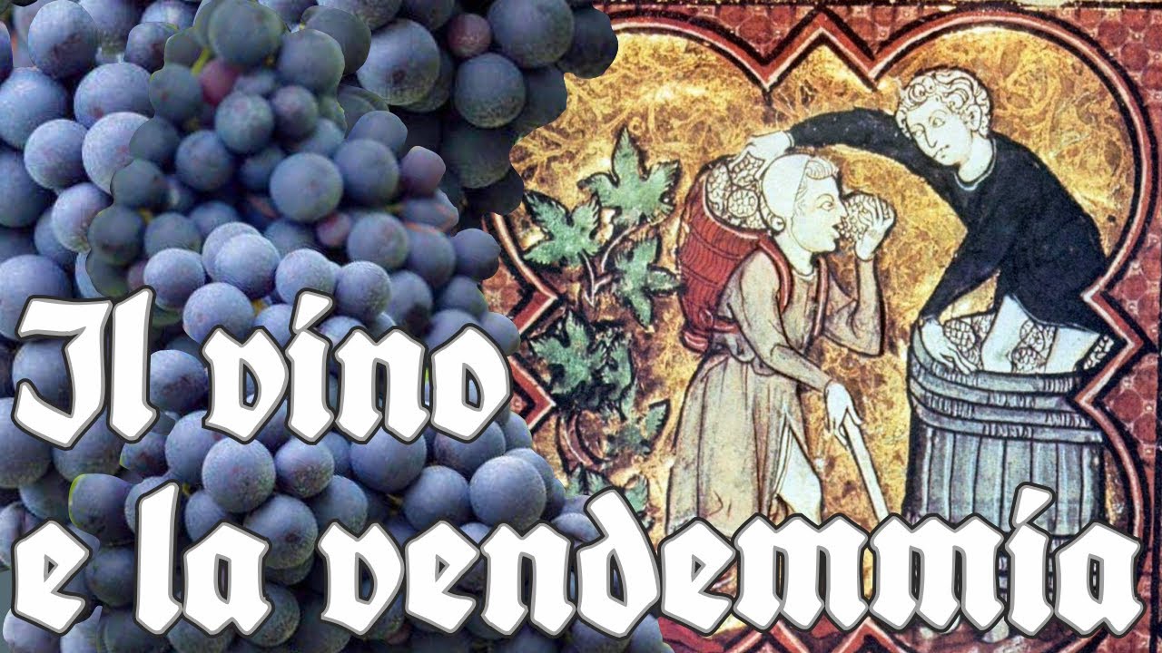 Il Vino e la Vendemmia nel Medioevo.