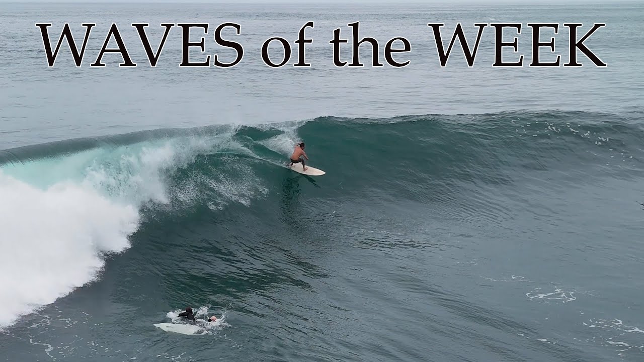 WAVES of the WEEK SAN DIEGO