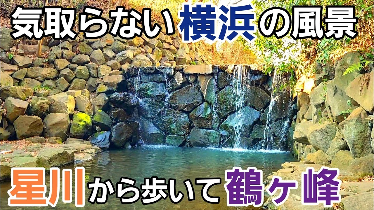 自然と歴史が残る気取らない横浜【星川駅～鶴ケ峰駅】